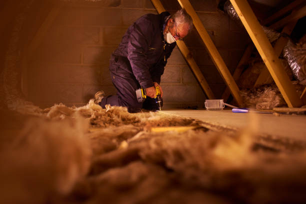 Best Cellulose Insulation in Easton, CA