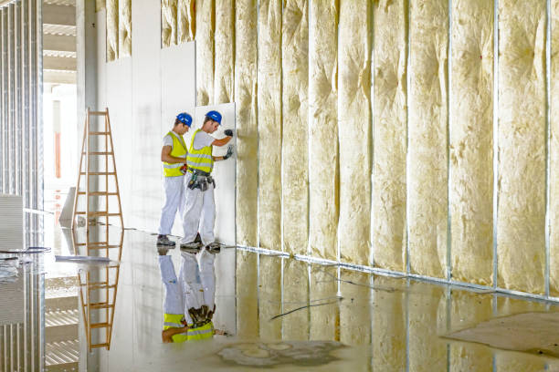 Types of Insulation We Offer in Easton, CA